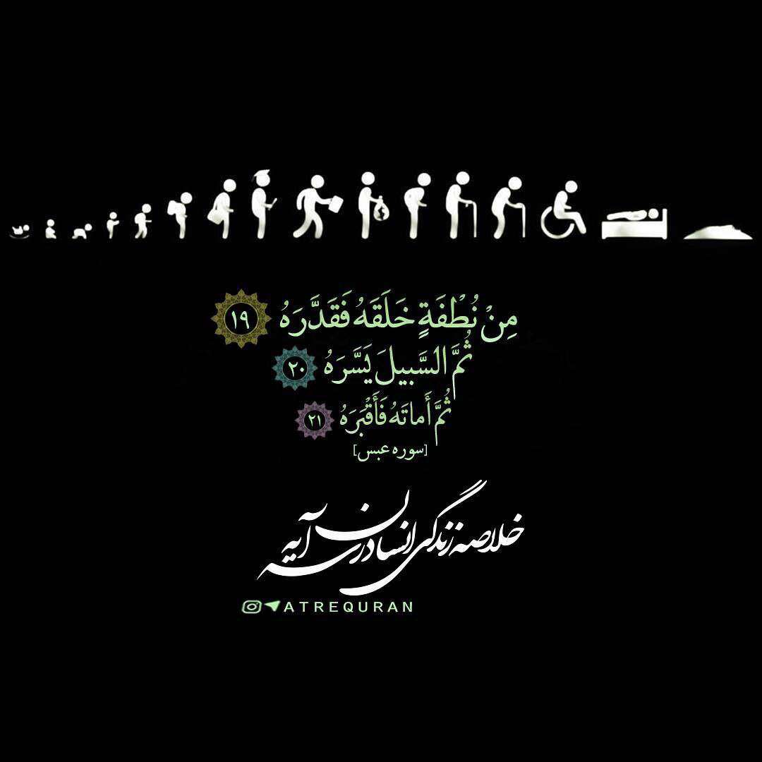 خلاصه زندگی انسان